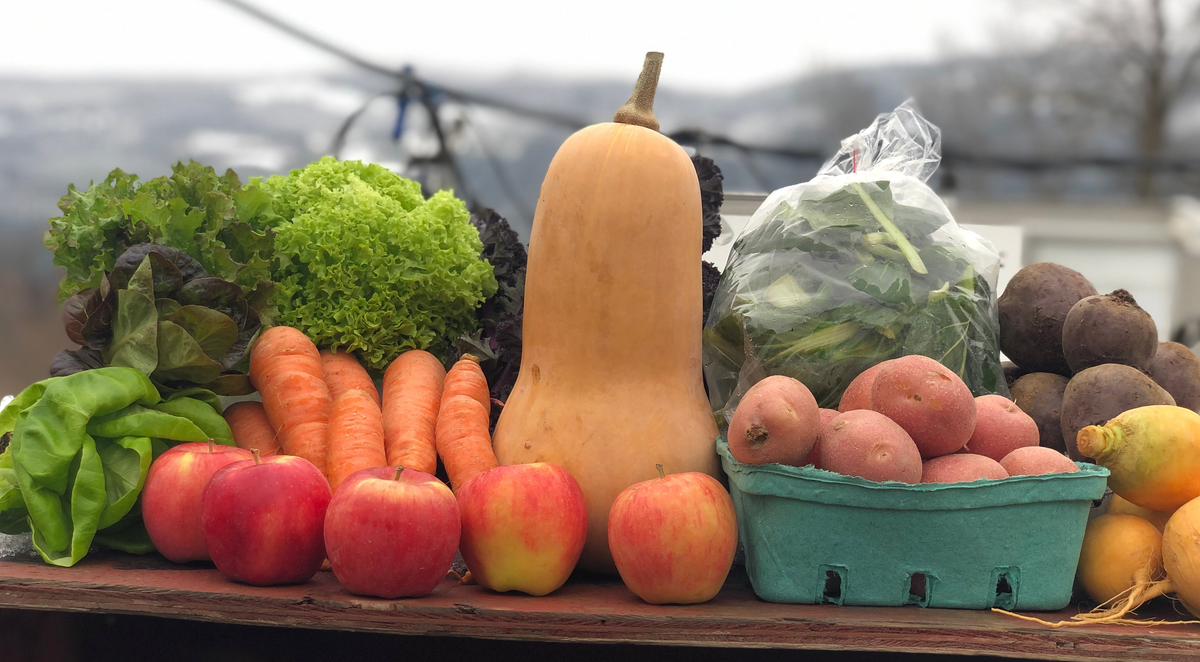 A produce spread with butternut squash, carrots and apples