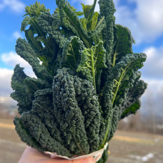 kale raab bunch held in hand