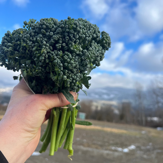 Hand holding a bunch of green broccoli against a blue sky with clouds