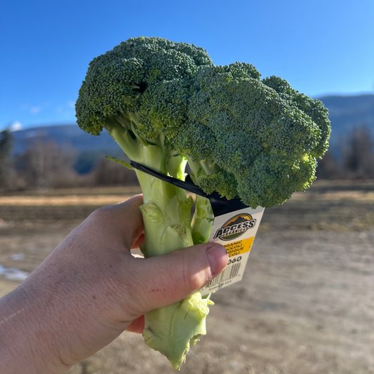 Broccoli, Certified Organic - MX