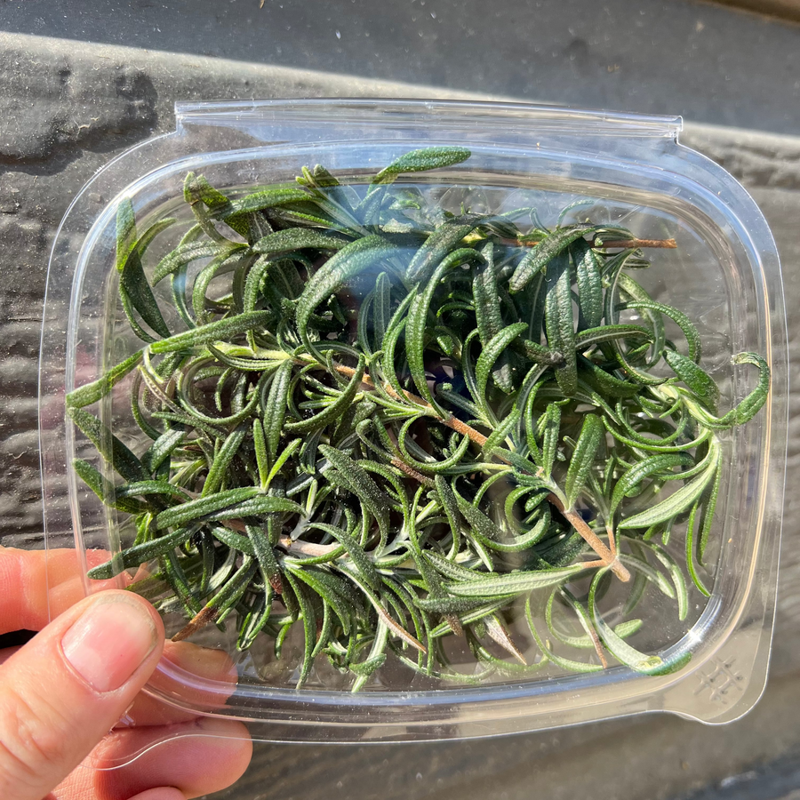 Fresh hydroponic rosemary from Recline Ridge in Vernon, BC, in a clear clamshell