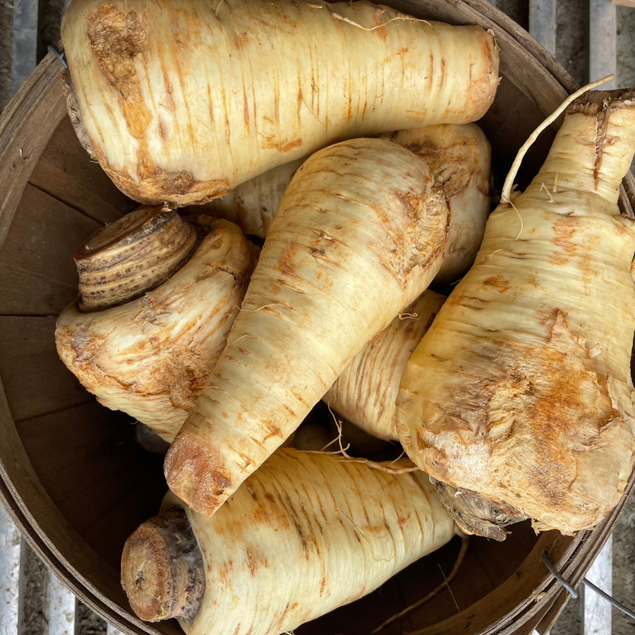 Cream-coloured parsnips with tapered ends in a wooden basket