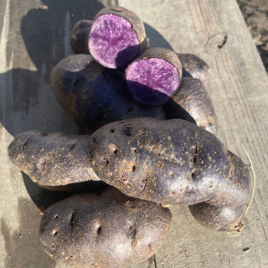 Potatoes, Purple - Certified Organic
