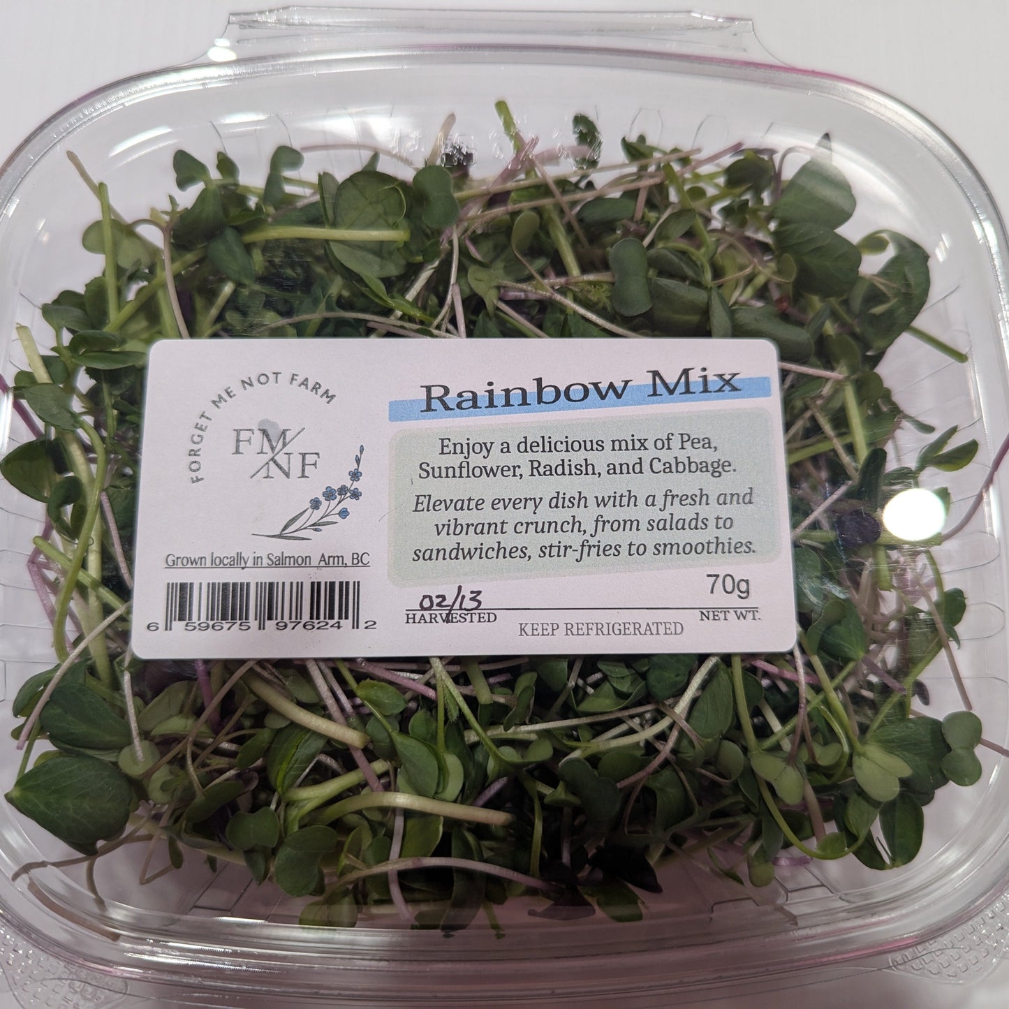 Microgreens, Rainbow Mix - BC