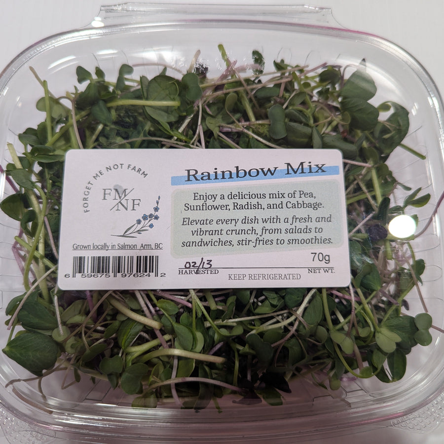 A clamshell of rainbow mix microgreens