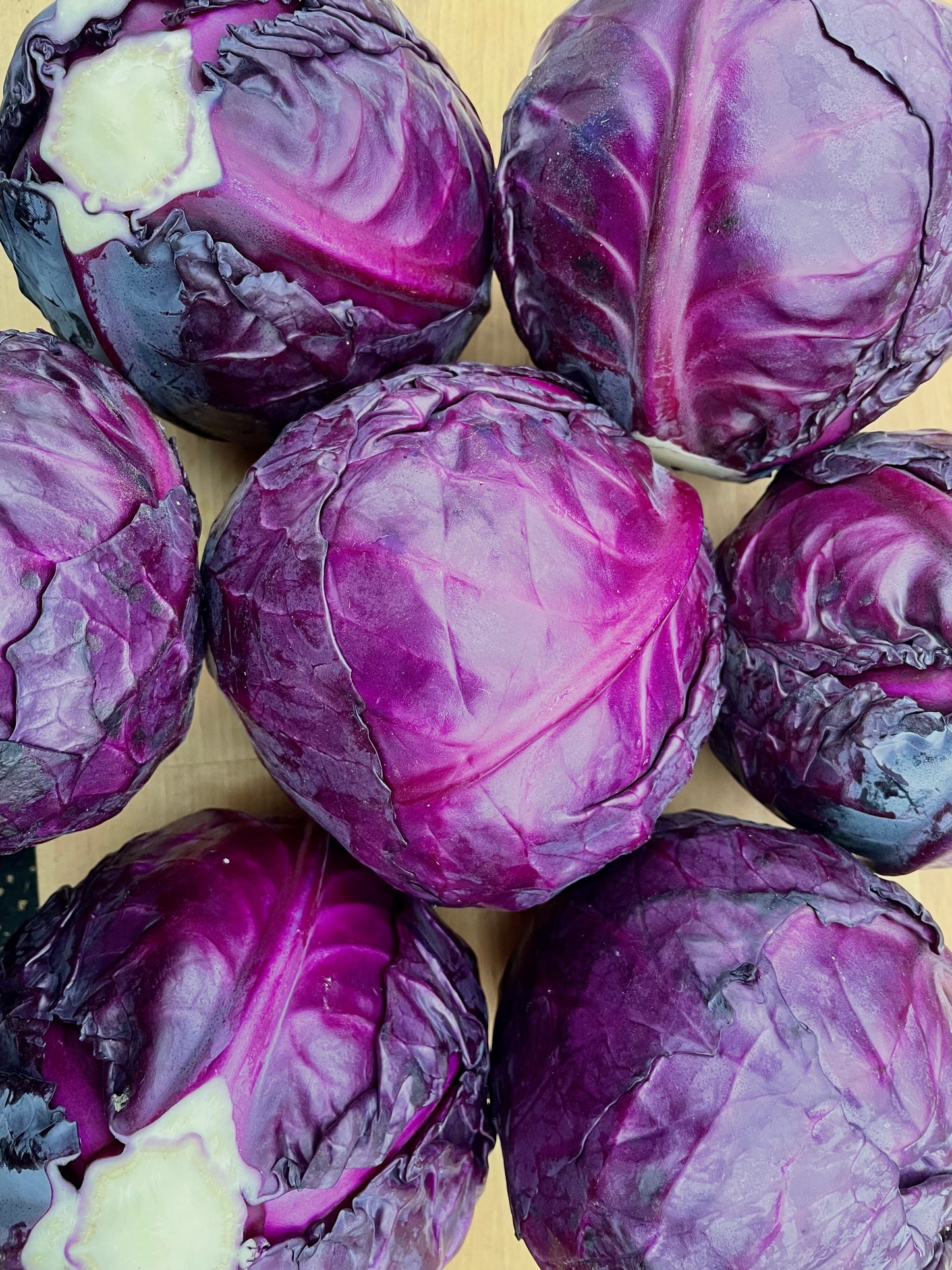 Cabbage, Red - Certified Organic (Each)