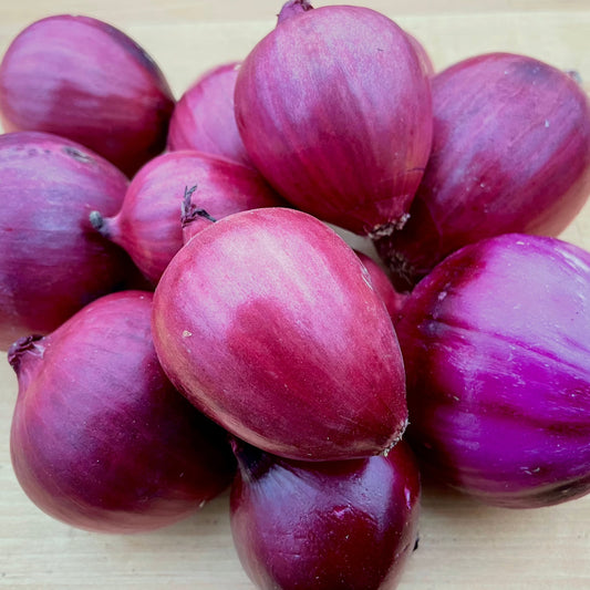 Onions, Red - Certified Organic - BC