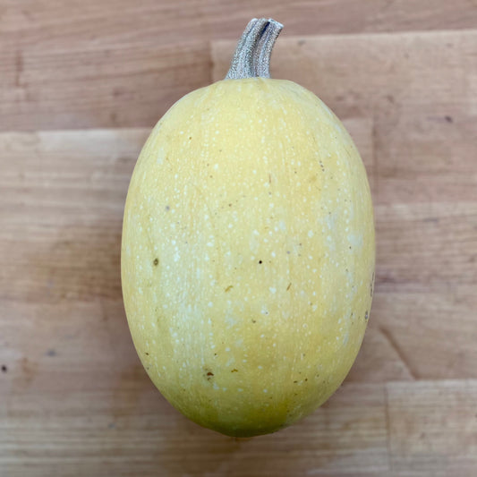 Squash, Spaghetti - Certified Organic