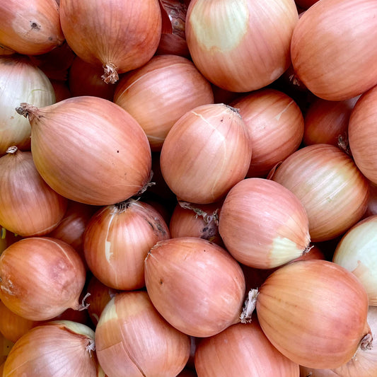 Onions, Yellow - Certified Organic (2lbs)