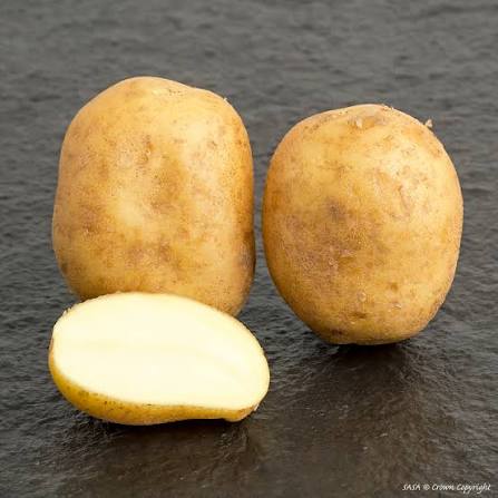 Potatoes, Fresh Yellow - Certified Organic - BC