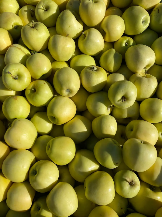 Apples, Aurora - Certified Organic - BC