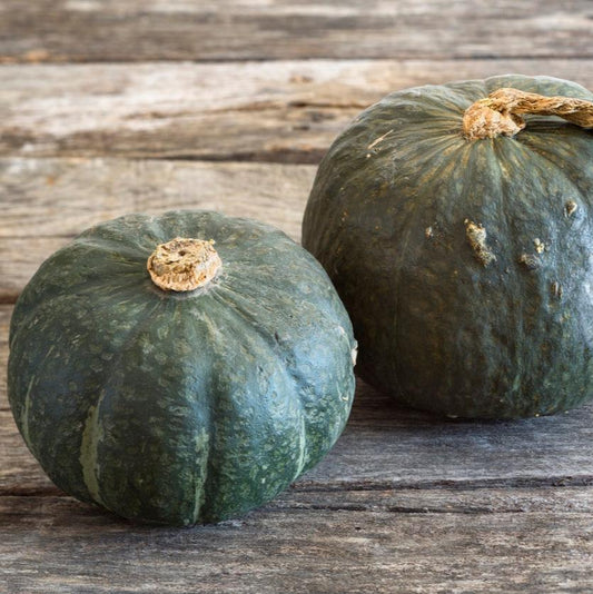 Squash, Buttercup (5lbs) - naturally grown