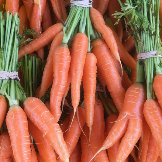 Carrot Bunch - Certified Organic - BC