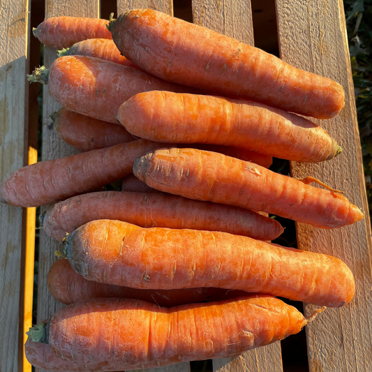 Carrots (2lbs) - Certified Organic