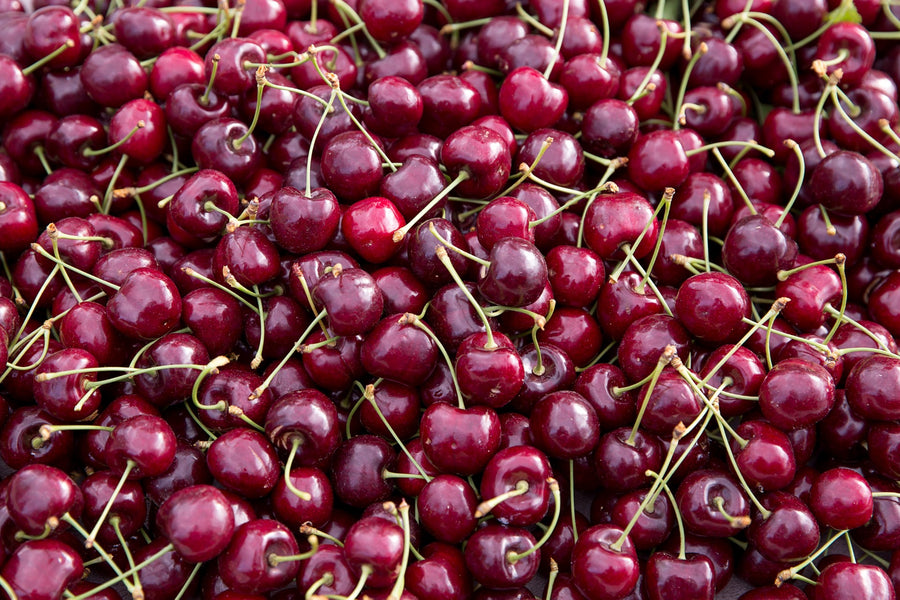 A pile of dark red cherries with their stems on