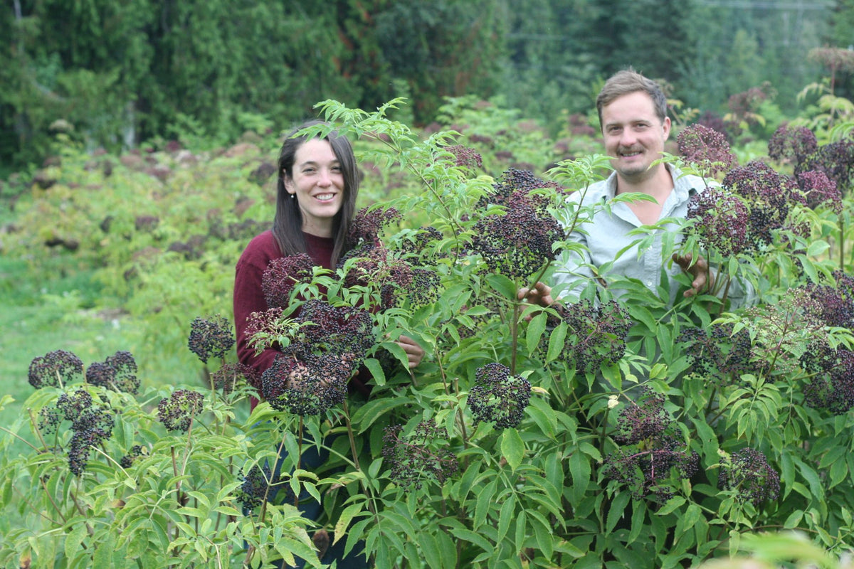 Elderberry Grove farm in Salmon Arm, BC