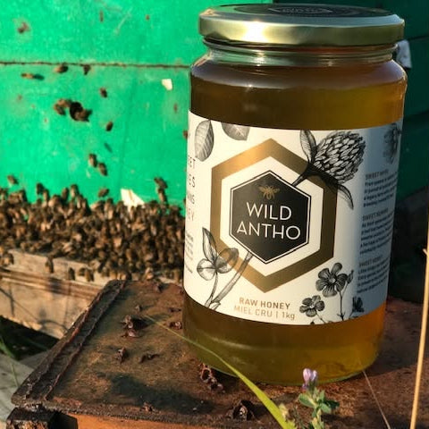 A glass jar of Wild Antho Raw Honey with a gold lid and white label, set outdoors next to a green beehive box with bees flying and crawling around it.