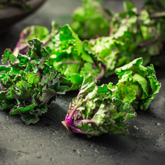 Kalettes, Conventional - BC