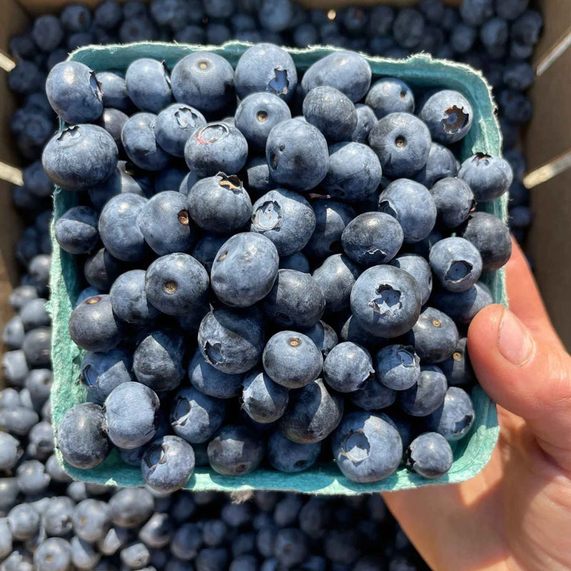 Madalea Growers farm in Mara, BC