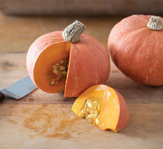 Squash, Marmalade Kabocha - Certified Organic, BC