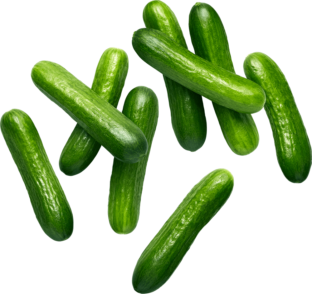 Cucumbers, Mini - Conventional - (BC)