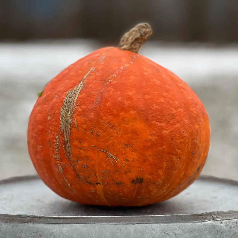 Monette Produce farm in Cache Creek, BC