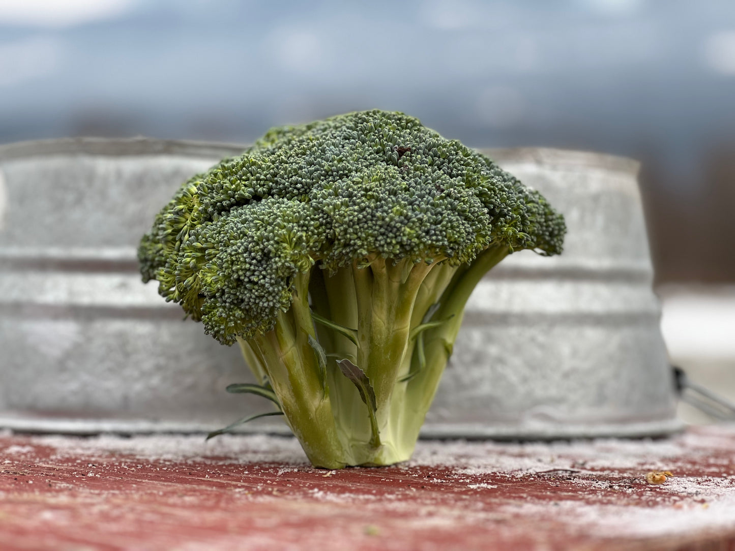 Broccoli, Certified Organic - USA