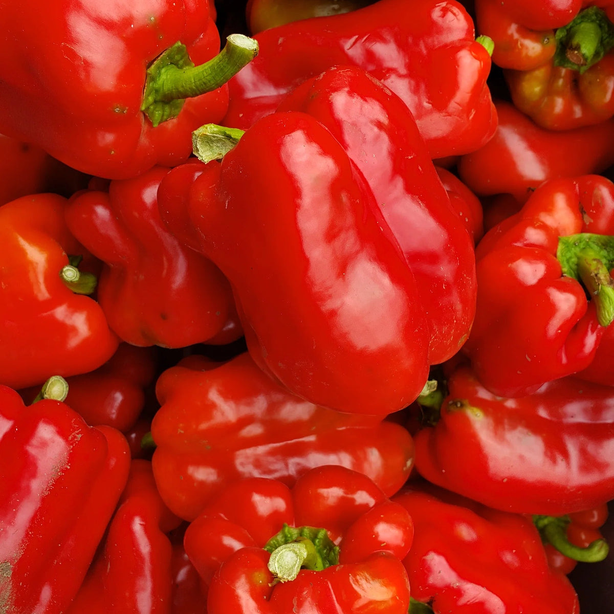A close-up pile of glossy red bell peppers with small green stems visible at the top.