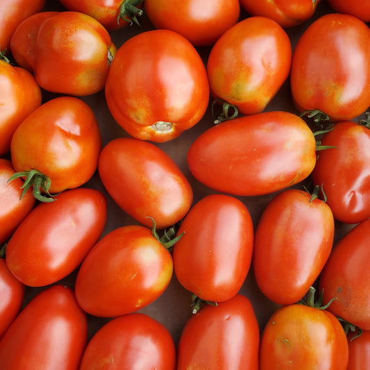 Tomato, Roma - Certified Organic - BC