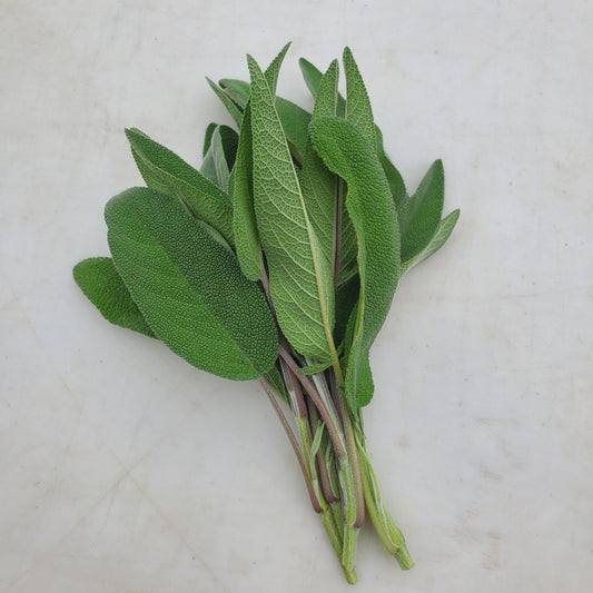 A small bunch of sage leaves