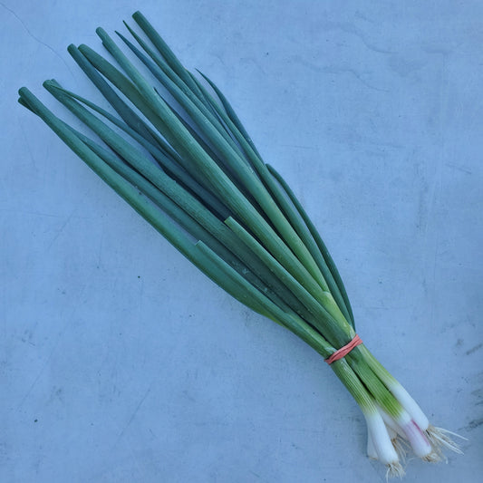 Green Onions, Transitional Organic