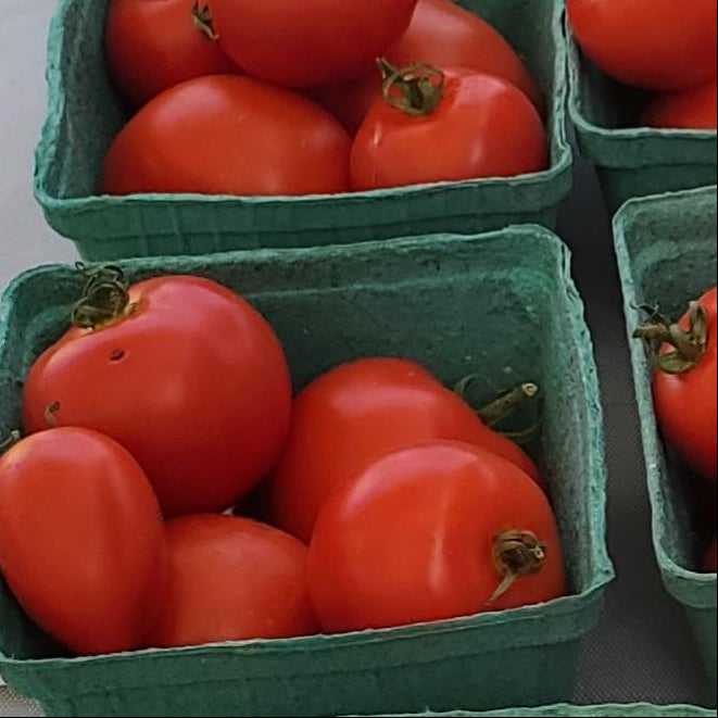 Tomatoes, Slicer - Certified Organic - BC
