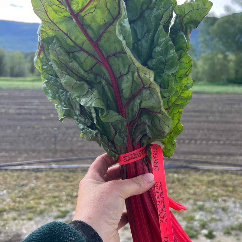 Two EE's Organic Produce farm in Surrey, BC