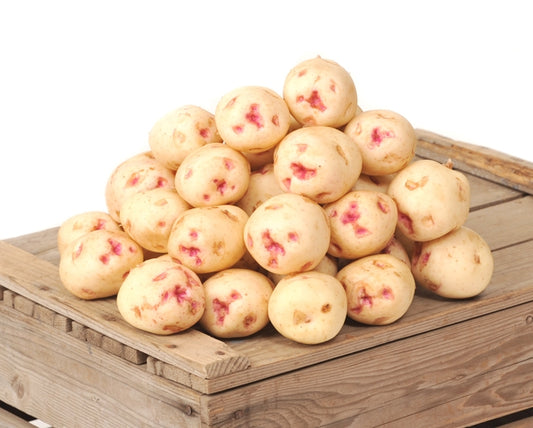 Potatoes, Warba - Conventional - BC